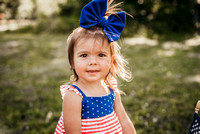 4th of July Minis-Morin