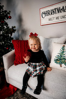 Christmas Mini-Stephanie Patterson