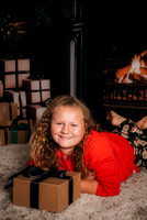 Christmas Mini-Madi Borter